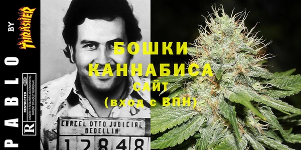 мдма Богданович