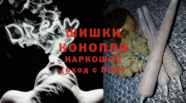 мяу мяу мука Белокуриха