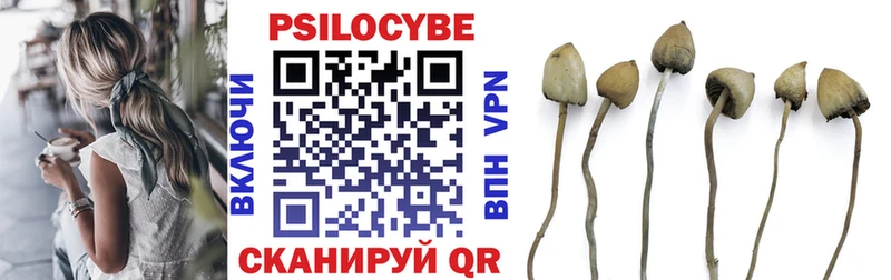 даркнет сайт  Володарск  Псилоцибиновые грибы Psilocybine cubensis 